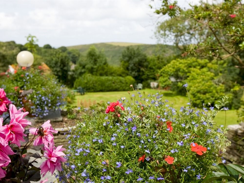 Bed and breakfast Boscastle House Extérieur photo