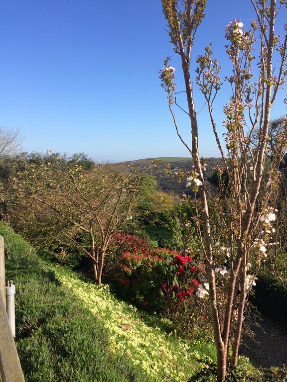 Bed and breakfast Boscastle House Extérieur photo