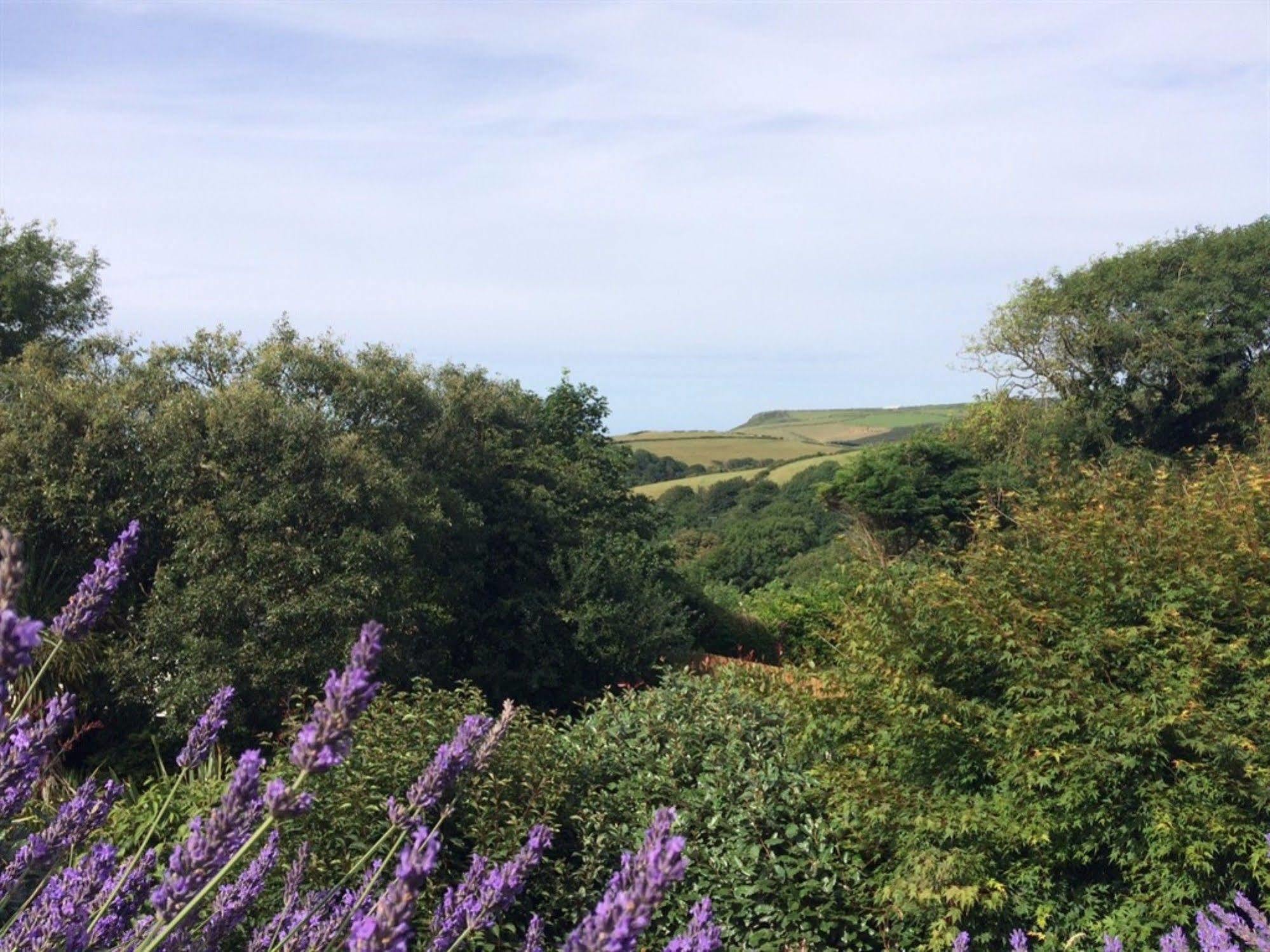 Bed and breakfast Boscastle House Extérieur photo